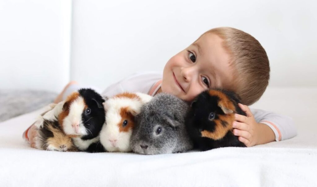 Tým veterinární praxe