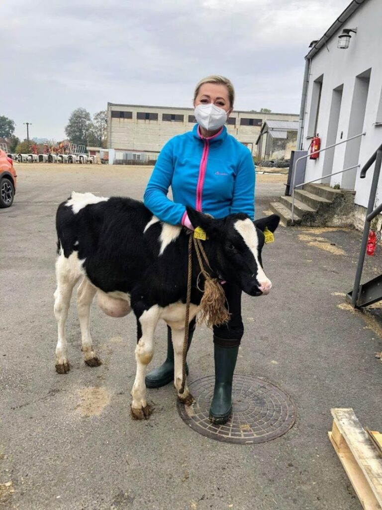 Veterinární zákrok – fotografie z ošetření