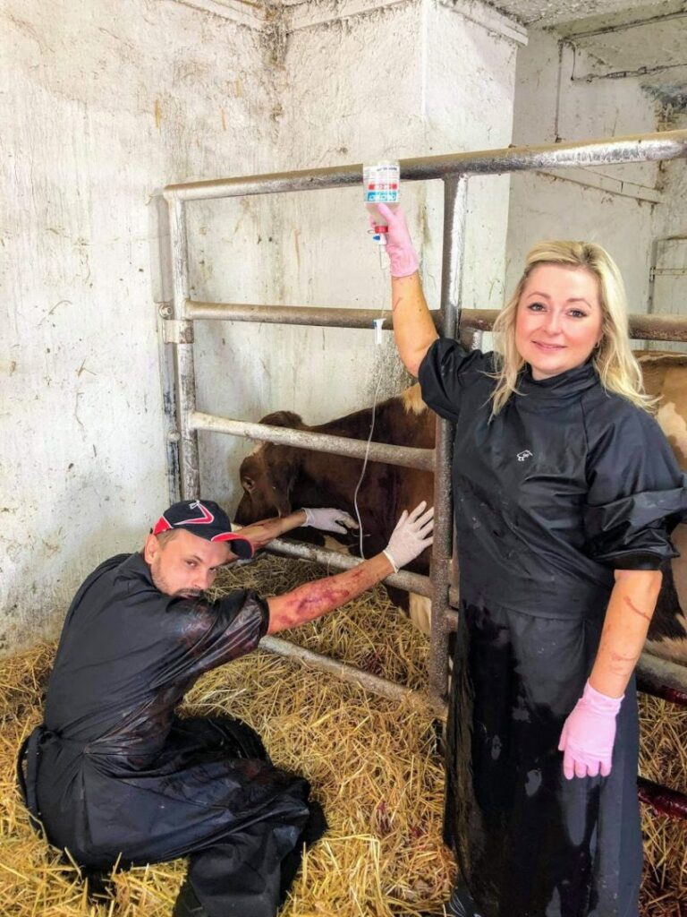 Veterinární zákrok – dokumentace postupu